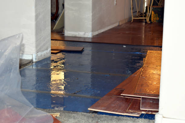 Professional Basement Flood Cleanup technician working in Chamberlain, SD